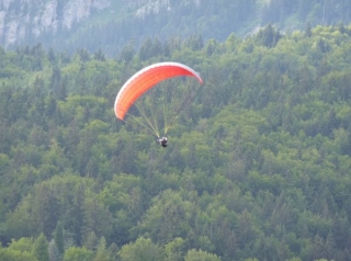  In volo sopra gli alberi 